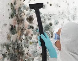 Best Real Estate Mold Inspection  in Jerseyvle, IL